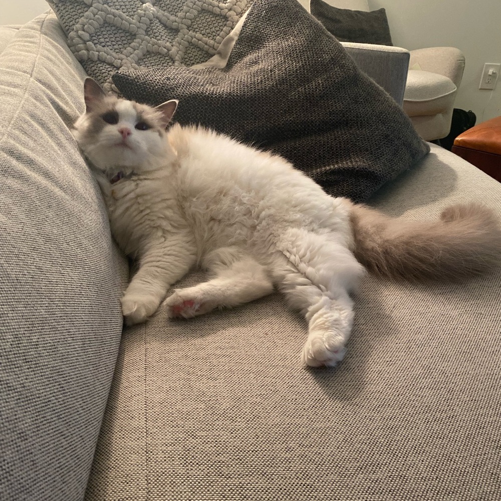 Meet your Posher, Erika